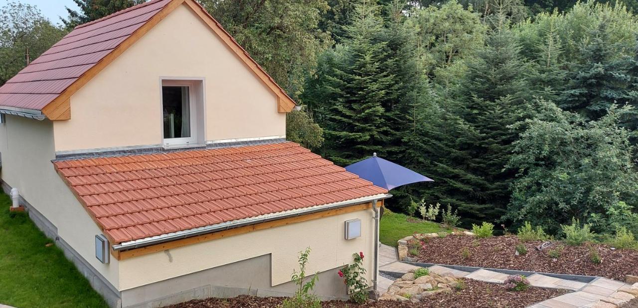Ferienhaus Richtermuehle Sebnitz Eksteriør bilde